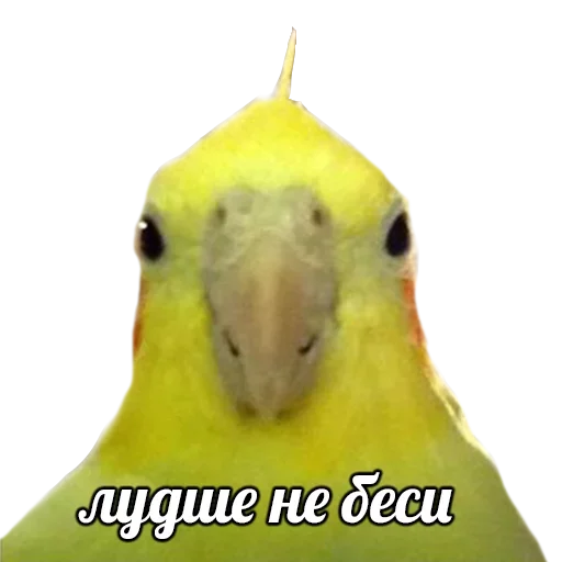 Эмодзи ПОДБОРКА МЕМОВ part 7