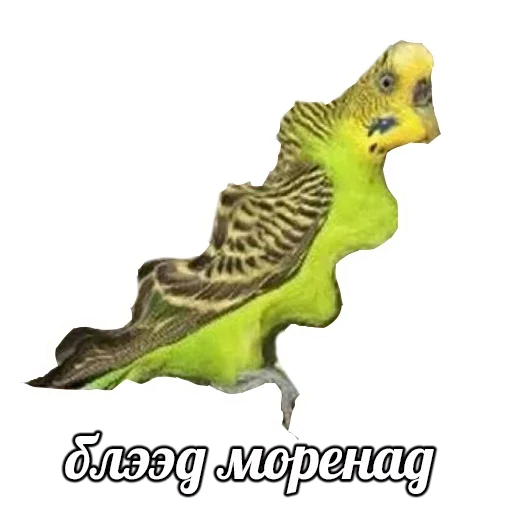 Эмодзи ПОДБОРКА МЕМОВ part 7