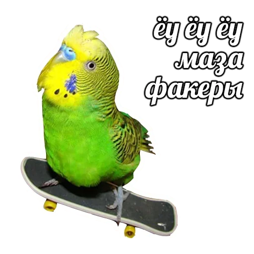 Эмодзи ПОДБОРКА МЕМОВ part 7