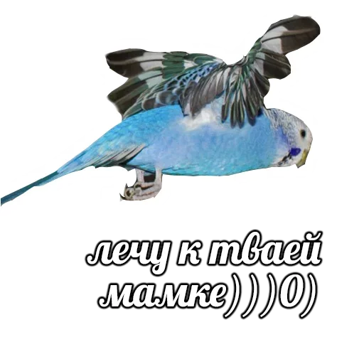 Эмодзи ПОДБОРКА МЕМОВ part 7