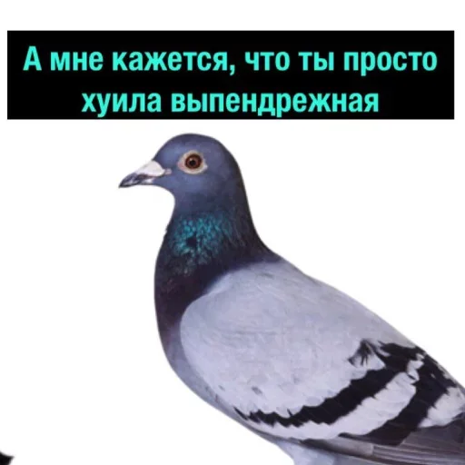 Эмодзи Полный Деградач