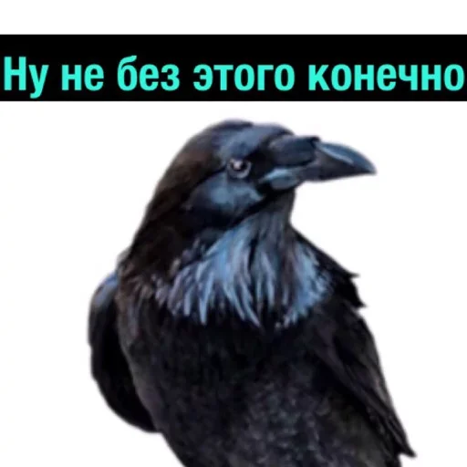 Эмодзи Полный Деградач