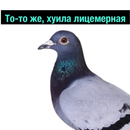 Эмодзи Полный Деградач