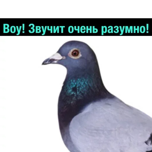 Эмодзи Полный Деградач