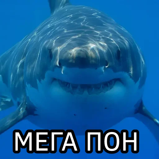 Эмодзи Пон