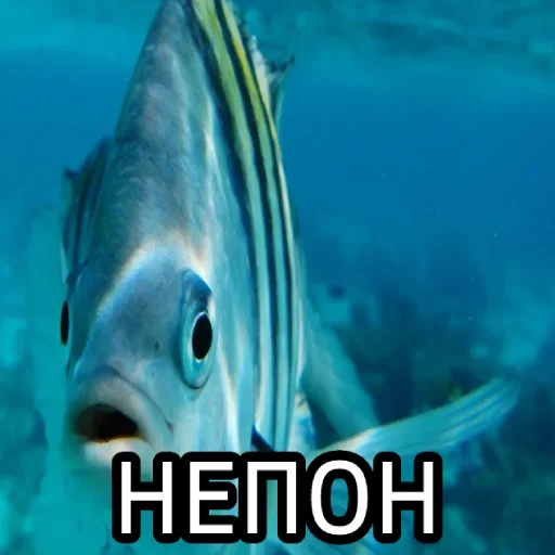 Эмодзи Пон