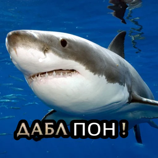 Эмодзи Пон