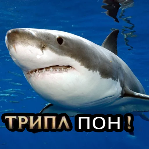 Эмодзи Пон