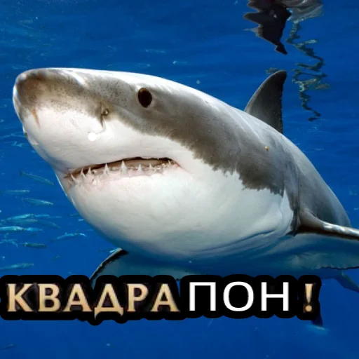 Эмодзи Пон