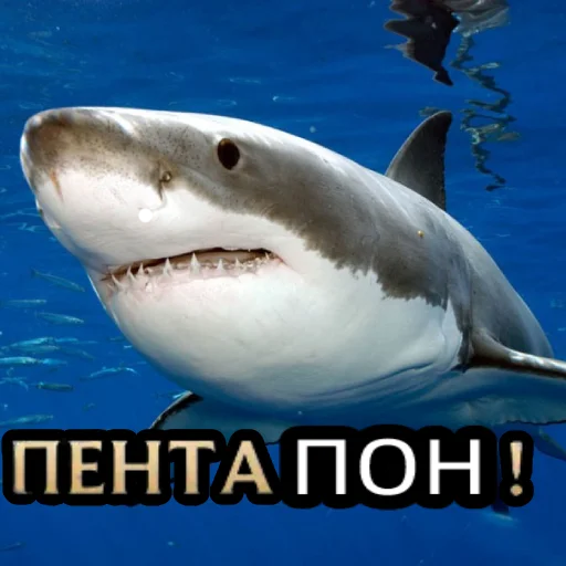 Эмодзи Пон