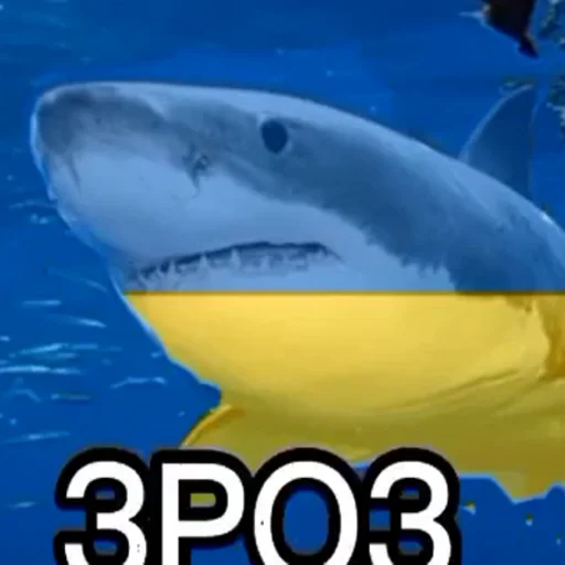 Эмодзи Пон