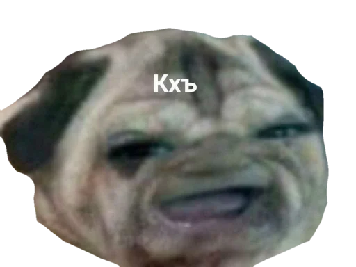 Эмодзи для ПиДрУжЕк