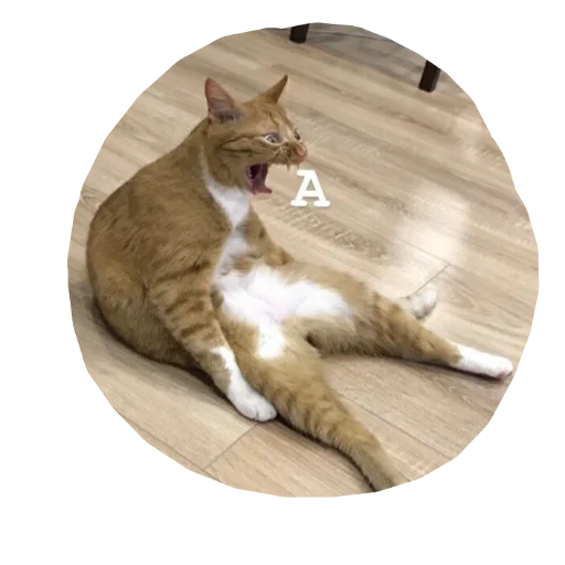 Эмодзи для ПиДрУжЕк