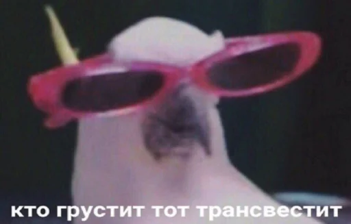 Эмодзи для ПиДрУжЕк