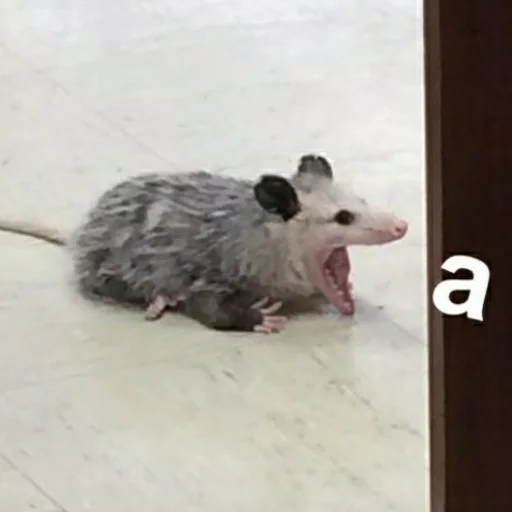 Эмодзи для ПиДрУжЕк