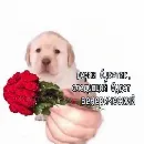 Эмодзи уебанские открытки