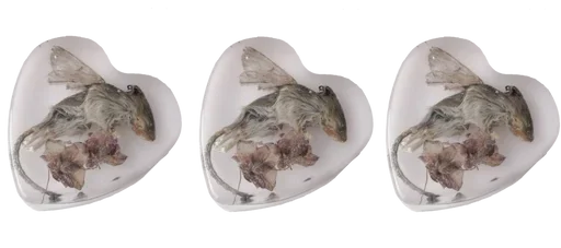 Эмодзи Cute | Милые