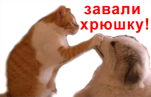 Эмодзи Повышаем гралус срача