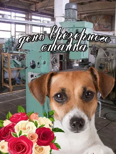 ?