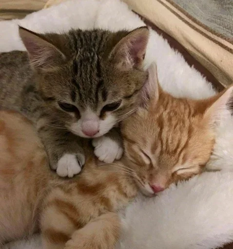 Эмодзи pqpqppqpqpqpqpqp