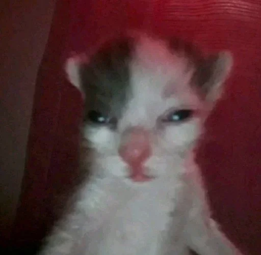 Эмодзи pqpqppqpqpqpqpqp