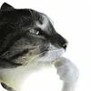 Эмодзи кот