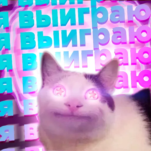 Эмодзи Cats memes