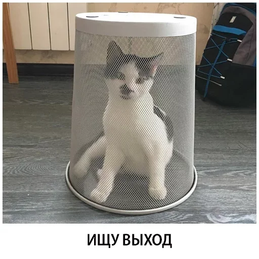 Эмодзи Shelter