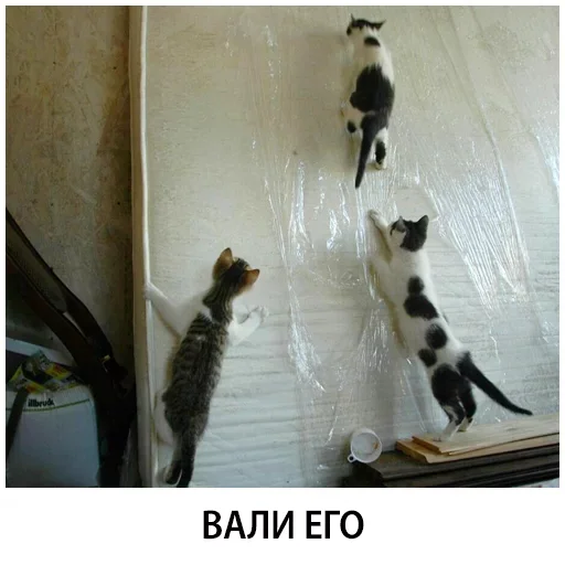 Эмодзи Shelter