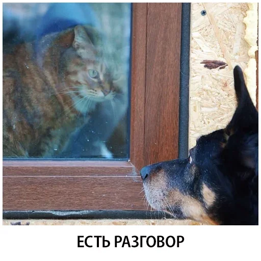 Эмодзи Shelter