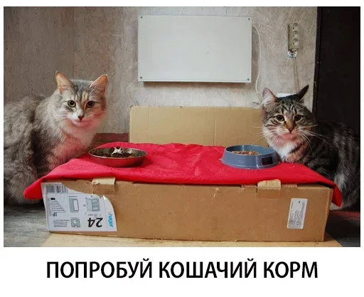 Эмодзи Shelter