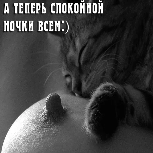 Эмодзи Profit