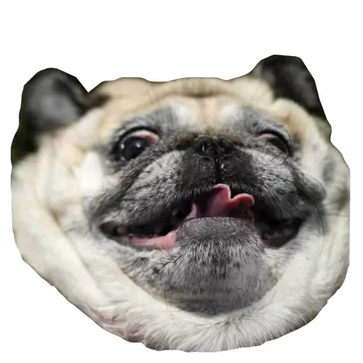 Эмодзи Dogs