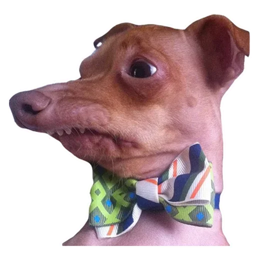 Эмодзи Dogs