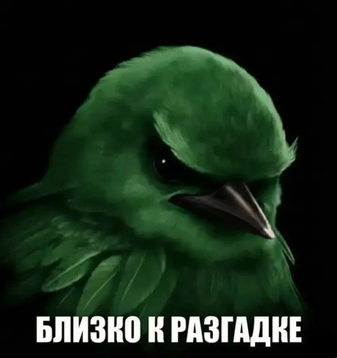 Эмодзи Birds Memes