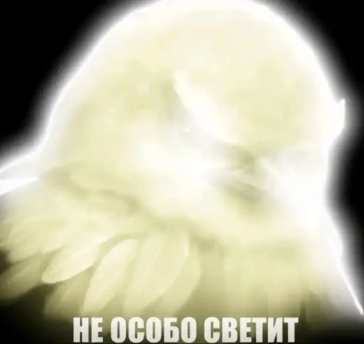 Эмодзи Birds Memes