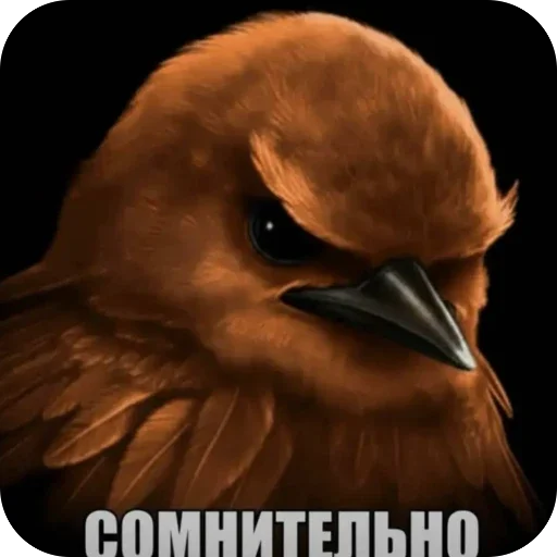 Эмодзи Birds Memes