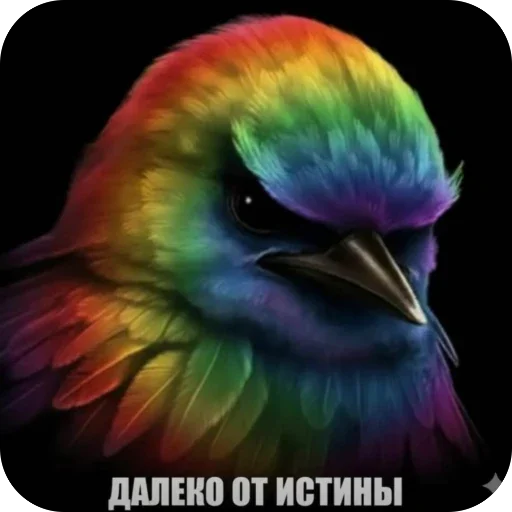 Эмодзи Birds Memes