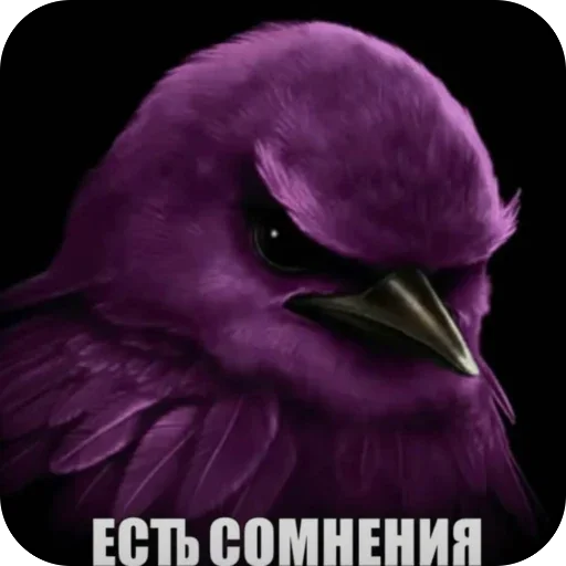 Эмодзи Birds Memes