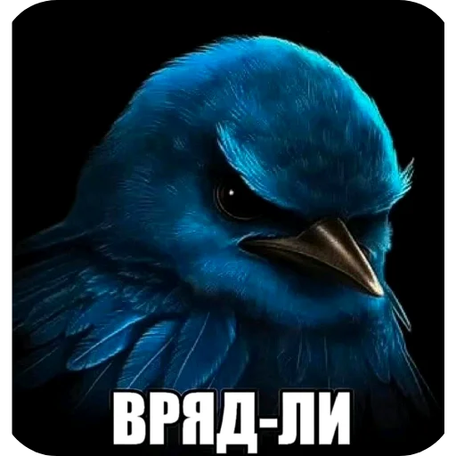 Эмодзи Birds Memes