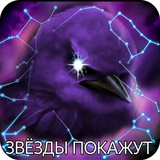 Эмодзи Birds Memes