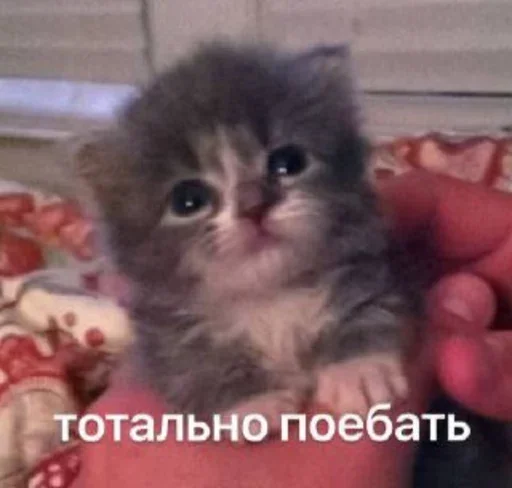 Эмодзи пудинк