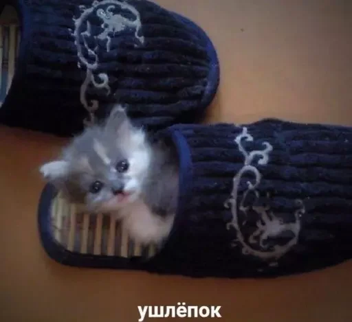 Эмодзи пудинк