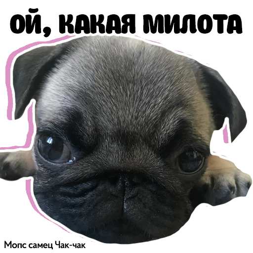 ?