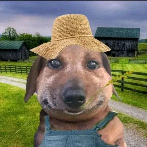 Эмодзи pukikaki
