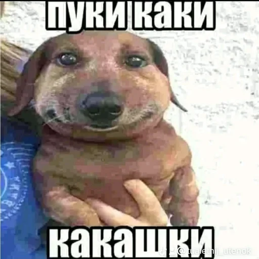 Эмодзи pukikaki