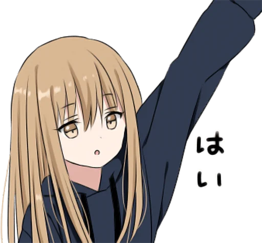 ✋
