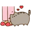 Эмодзи Pusheen 2.0