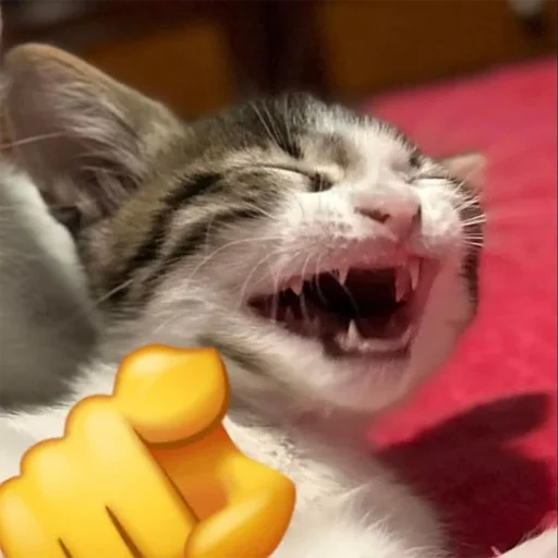 😆