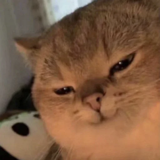 ?